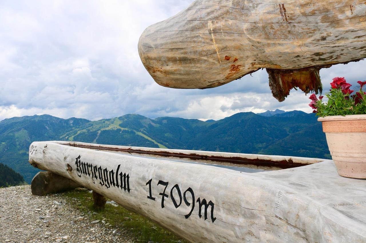 Appartementhaus Elmo Viehhauser Kg Kleinarl Exteriér fotografie